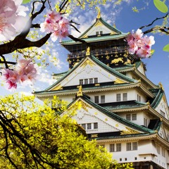 SAFE HAVEN x Kademus