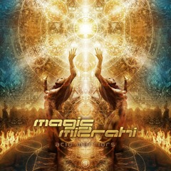 Magic Mizrahi - Acid Warriors