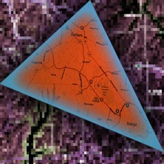 Electric Triangle