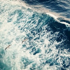 Mediterranea - [audio teaser]