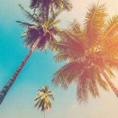 Amongst The Palms