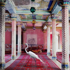 VIS Jr. - SOLO @SUPERNATURE - Vinyl Set