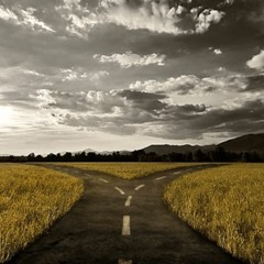 Find Your Road
