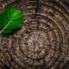 Vibing ft. JoJo Messiah, Chef Boy R- eve