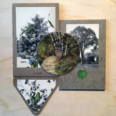 Enofa..."Arboretum"  Track II