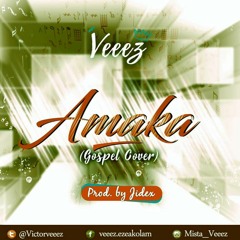 Veeez - Amaka (cover)