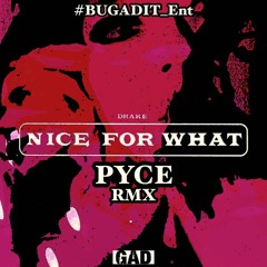 Nice4What (PYCE RMX)