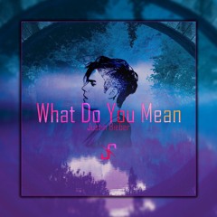 Justin Beiber - What Do You Mean (SYNTH Remix)