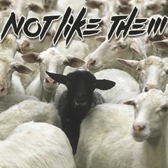 NOT LIKE THEM (Prod. J. Patterns)