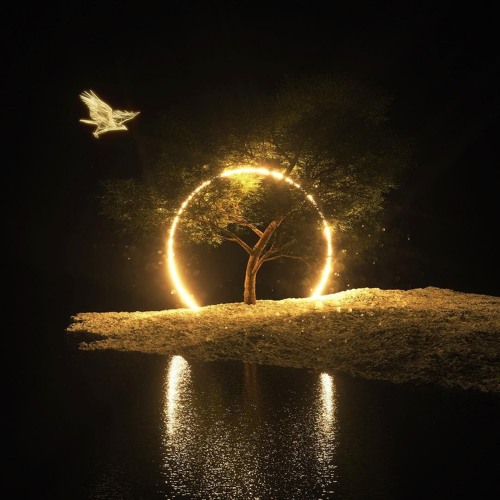 Evan Call - Never Coming Back