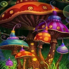 [LFF94] mushroom in the amazon (Instrumental)