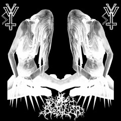 ＡＬ１３Ｎ  ３ ／ Ｓ３ＧＡ  Ｇ３Ｎ３Ｓ１Ｓ  －Ｆ１ＮＶＬ  ＢＯＳＳ  － ＢＬＶＣＫ  ＢＬ０ＣＫ  Ｒ３Ｍ１Ｘ