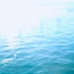 Waiving Ocean