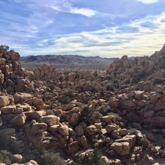 Bjornie’s Dubs & Wubs