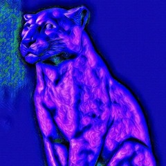 Space Cat Defending the Galaxy