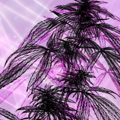 Put It Down (Prod by Apecstasy)