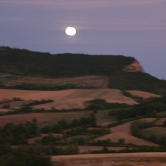 Tribal Trance Instrumental-Démo