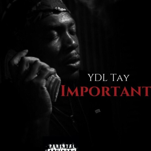 YDL TAY- Important J MARK in da beat