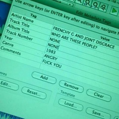 WHO ARE THESE PEOPLE? FT JOINT DISGRACE ( G R E E N O U T MIX)