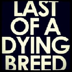 LAST OF DYING BREED