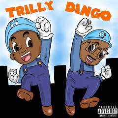 Trilly Dingo