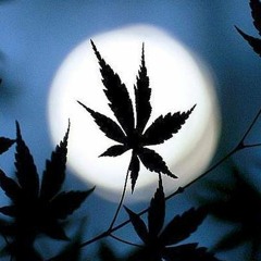 @moongocrazy - MOVE ON (snippet)