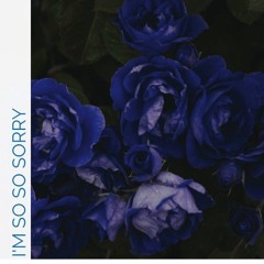 I'm So So Sorry (Prod. Guala Beatz)