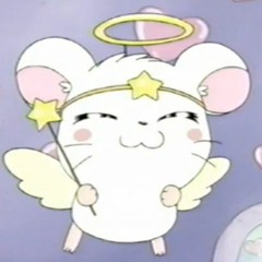The Hamsterdance Song (MLKSHK! Remix)