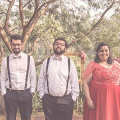 Marcha Nupcial (instrumental)