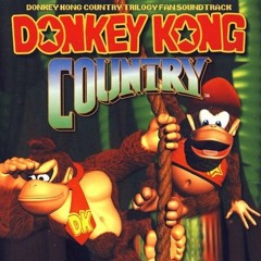 Donkey Kong Aquatic Ambience