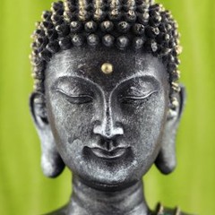 Stages of Meditation