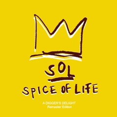 Spice Of Life - A Digger's Delight Vol.1 - (Snipped)