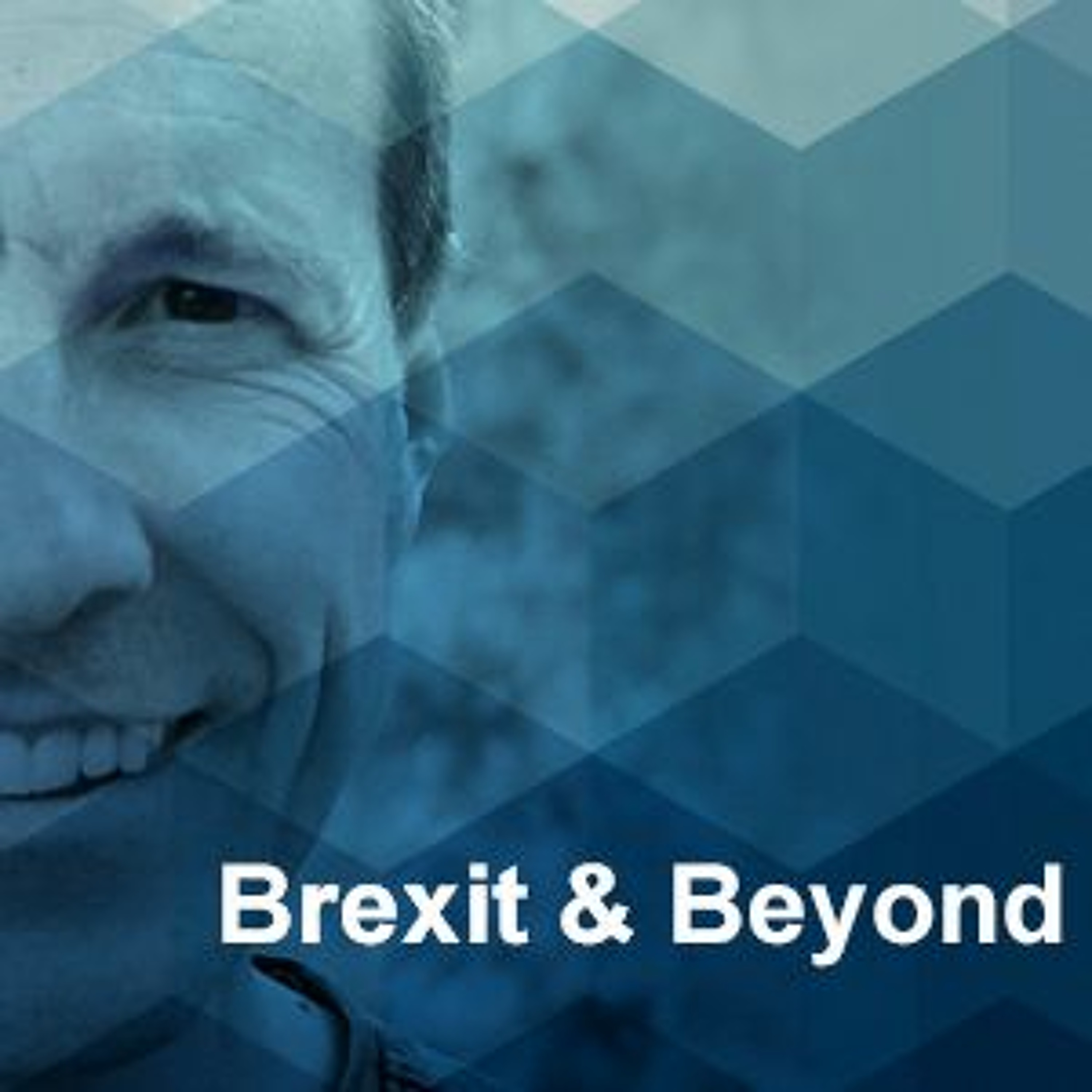 Talking Europe: The UCL European Institute podcast