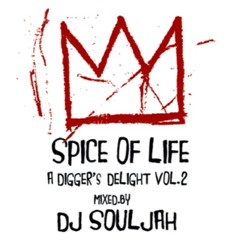 Spice Of Life - A Digger's Delight Vol.2 - (Snipped)