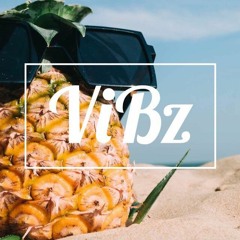 Team Feeling - N'aimer que toi (ViBz Remix)
