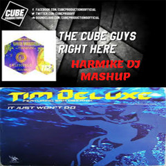 The Cube Guys - Right Here vs Tim Deluxe - It Just Won't Do (Harmike DJ Mashup)
