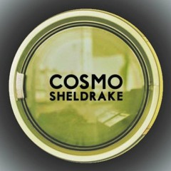 cosmo sheldrake - solar (DJLUKKY remix)