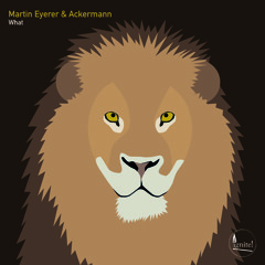Premiere | Martin Eyerer & Ackermann - What (Original Mix) Ignite! Records