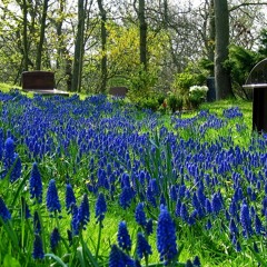 Wounded and Persistent (Idealism Remix)