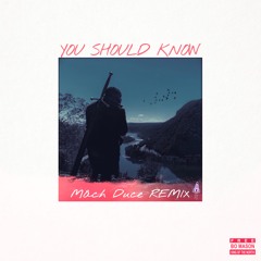 Bo Mason - You Should Know  (Mach FLIP)