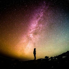 The Search