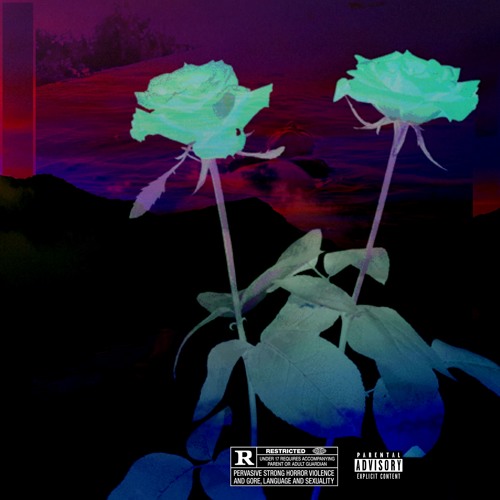 W.I.F.I [prod. Laptopboyboy]