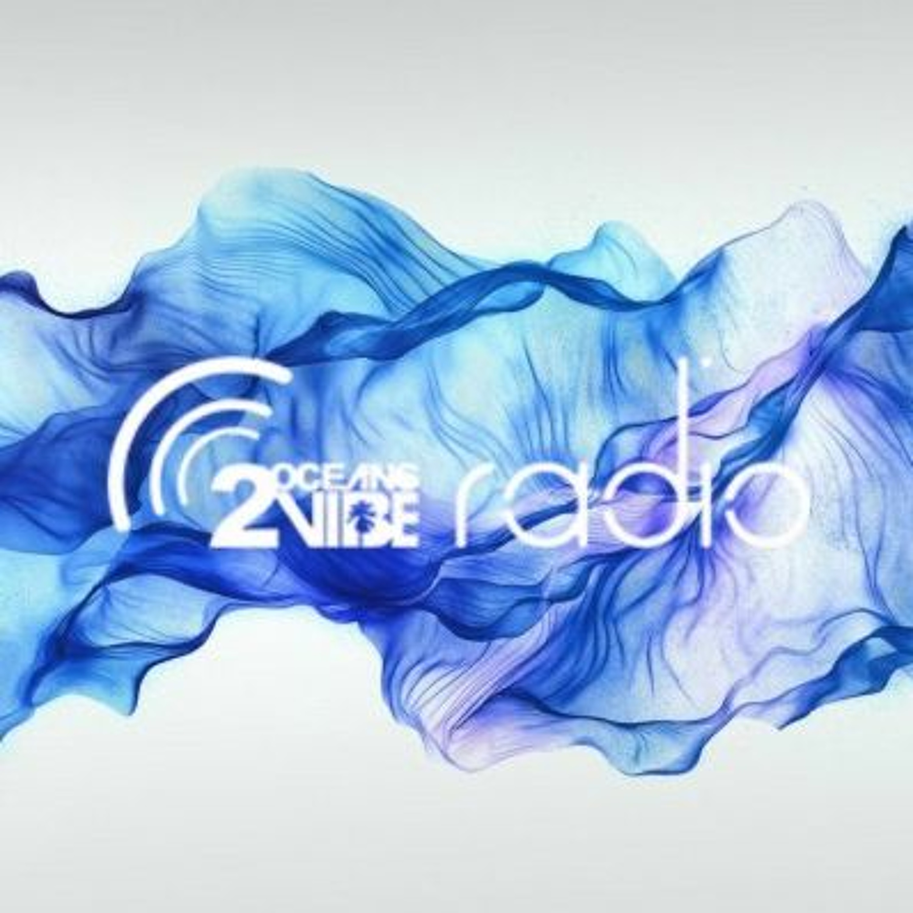 2oceansvibe.com