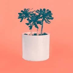 Psycho Lovers DRUMS
