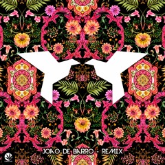 João De Barro (Remix) - Genus [free download]