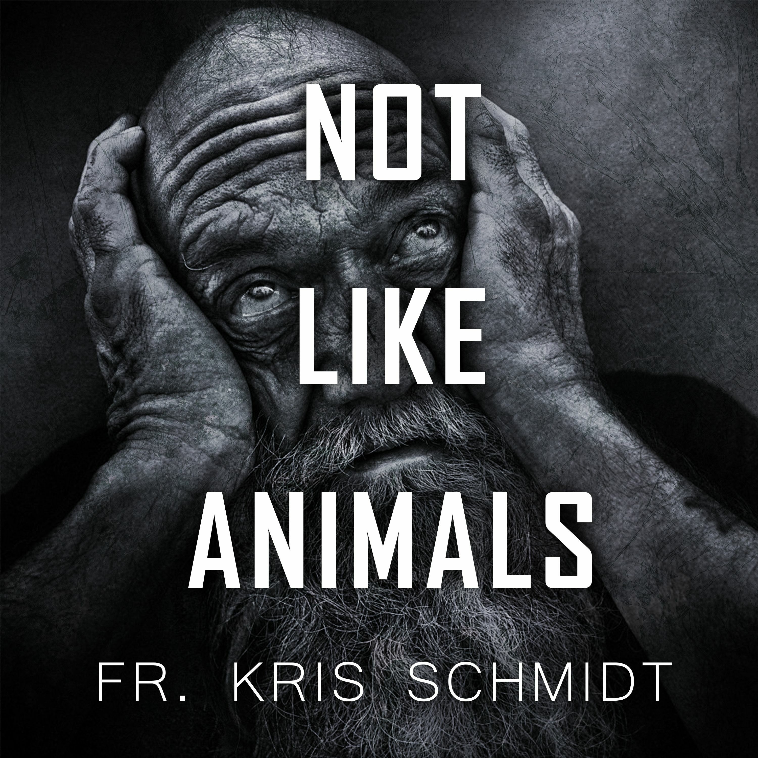 Fr. Kris Schmidt Homilies