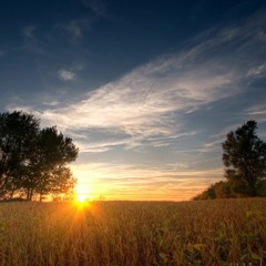 A New Dawn
