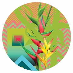 A1. Silat Beksi - Wide Screens (Teaser)