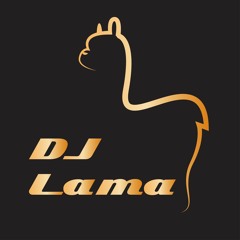 DJ LAMA Electro house / Bigroom / Melbourne Bounce Mixset Vol.1