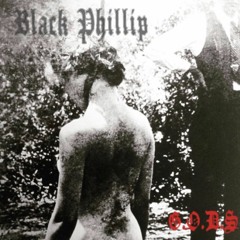 on a major come down, sorry if i dont pick up my phone(prod. Havoc)